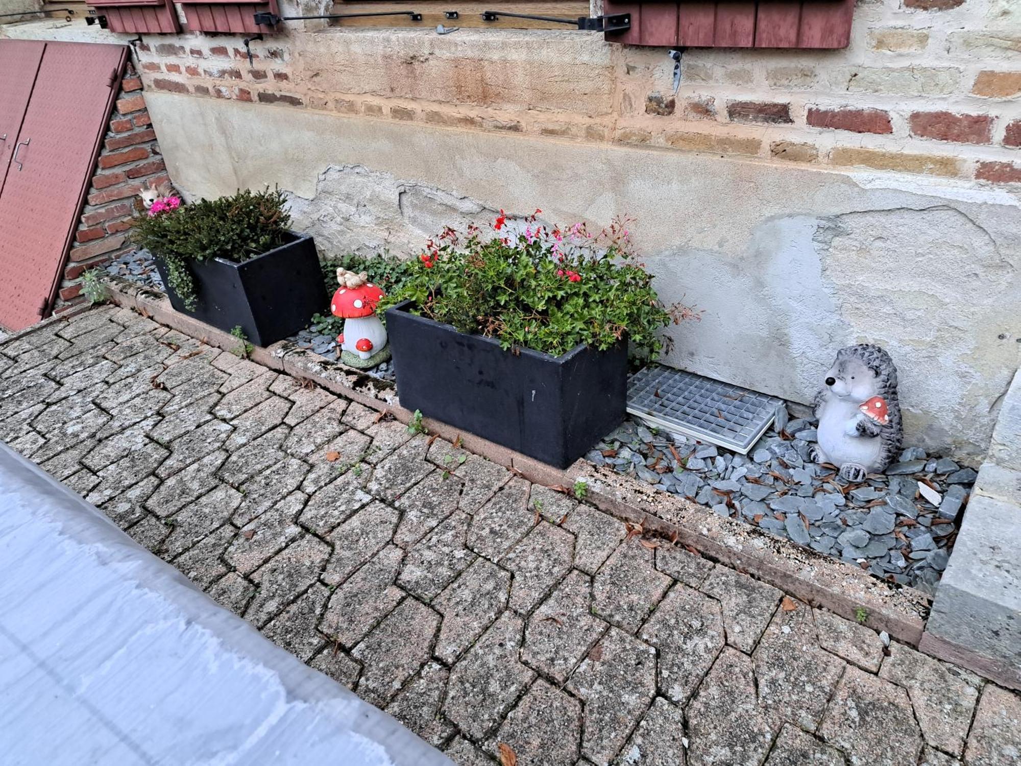 Gite Le Piege A Reves Pierre-de-Bresse Dış mekan fotoğraf